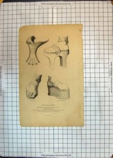 Original Old Antique Print Curiosites Chaussure Shoes Fashion Mule-Echasse