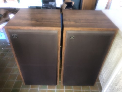 Cerwin vega vintage pair - vega,