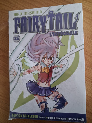 Fairy tail integrale 25 - l'integrale,