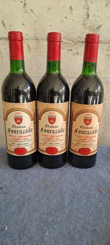 Château fonrazade - château,
