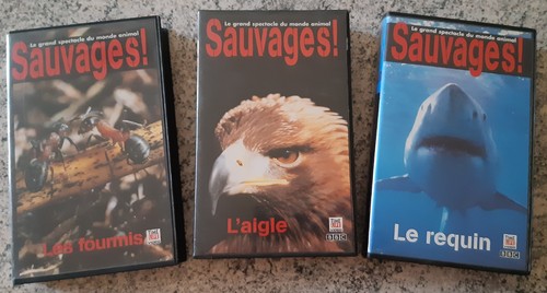 Lot cassettes vidéo - 3,