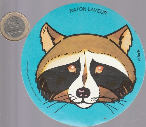 Sticker maggi raccoon - maggi.,