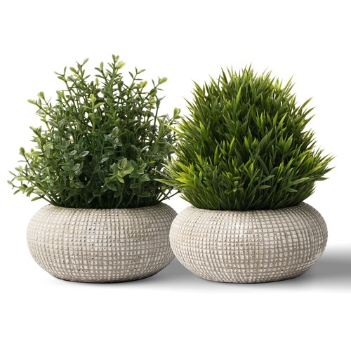 Pièces plantes - pièces,