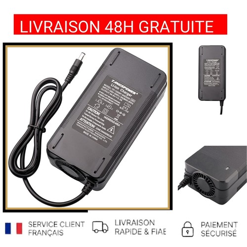 Chargeur batterie ion 6v - chargeur,