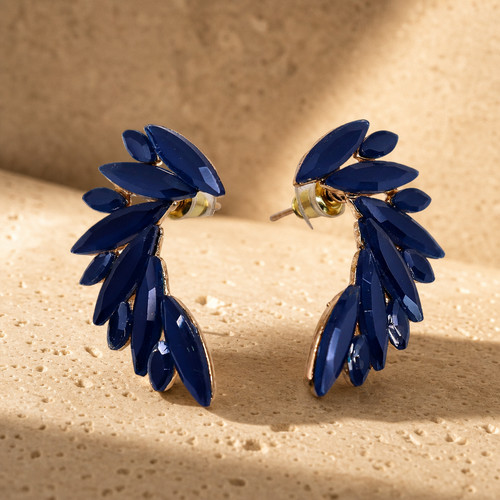 Boucles oreilles ailes - d’oreilles,