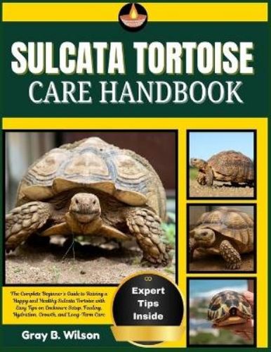 Gray wilson sulcata - wilson, tortoise