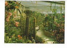 83 SANARY BANDOL EXOTIC GARDEN