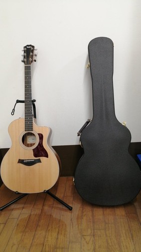 Guitare acoustique électrique