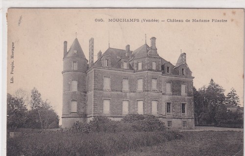 Postcard carte postale - 🦬postcard/carte,
