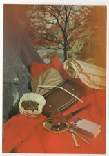 CARTE POSTALE GLACÉE - THÈME