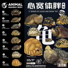 Animal Planet tortoise Series