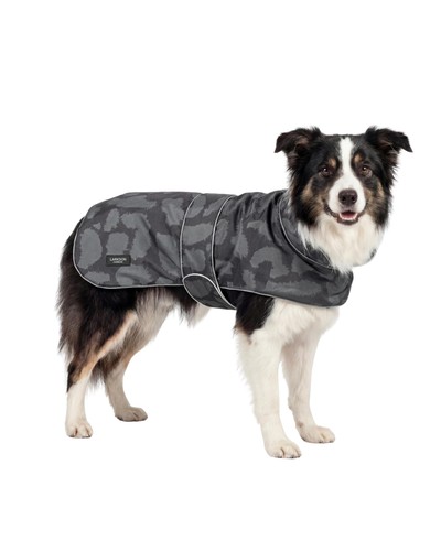 Imperméable pour chien gris - imperméable,