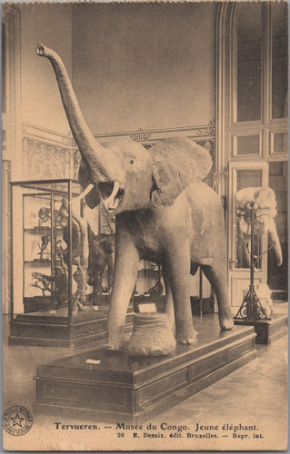 Musée congo belge - du,