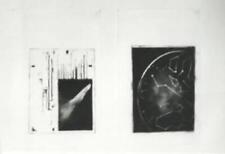 Bimal Banerjee, Zenith! (Exclamation), Diptych Fumage on Japanese Misho Paper