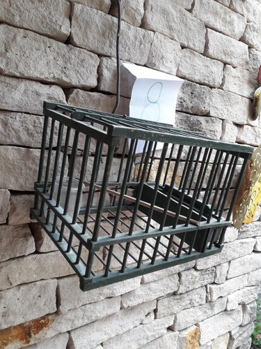 Cage ancienne bois - cage, "