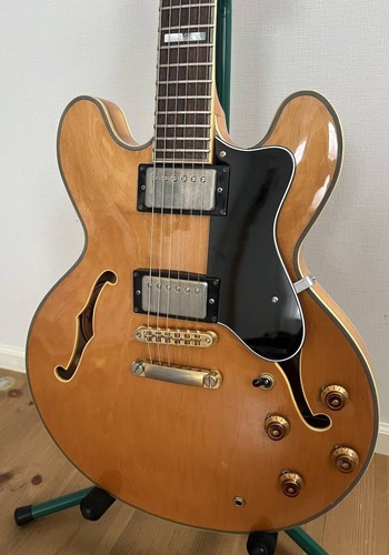Epiphone sheraton na - sheraton,