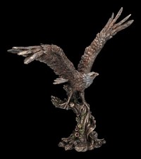 Aigle Figure Avec Propagation