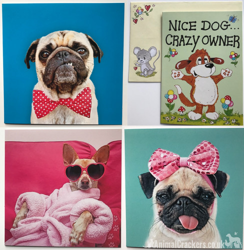 Carte souhaits jolie chien - carte,