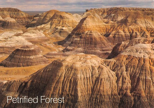 Etats unis petrified forest - etats,