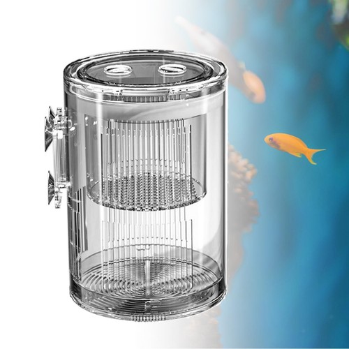 Boîte élevage poissons - d'élevage, de