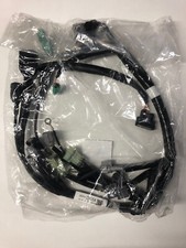 Harness, Main loom, Faisceau