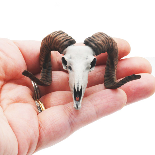 Mouflon skull replica field - mouflon,