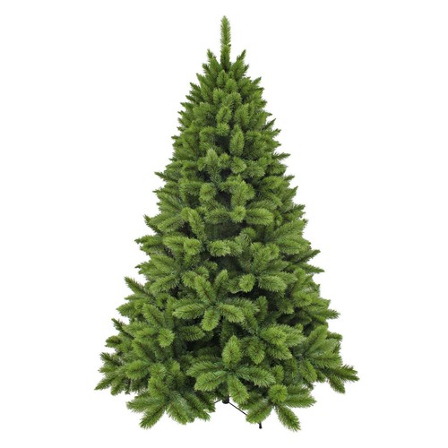 Triumph tree camden - triumph,