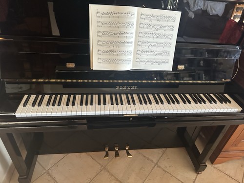 Pleyel p131 - pleyel, (2000)
