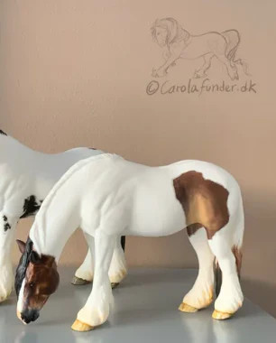 Grazing irish cob - grazing,