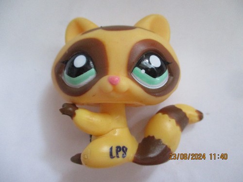 Petshop raton laveur 1502 - , raton-laveur