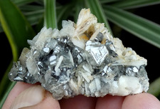 Cérusite & Baryte Mibladen