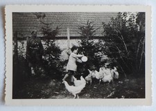 Girl feeds chickens, chicken coop, farm - old photo snapshot c. 1945