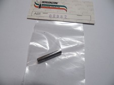 VINTAGE BERGONZONI Racing