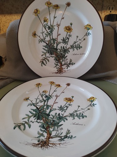 Pair villeroy boch - villeroy,