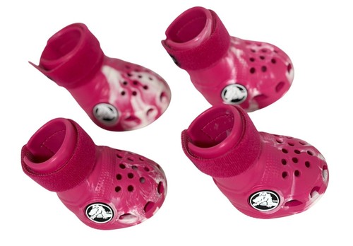 Barkbox crocs dog - dog, size