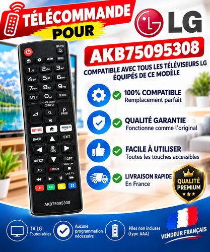 Télécommande remplacement