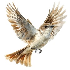 2 x autocollants autocollants