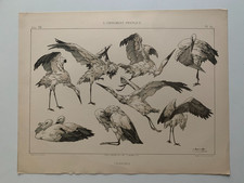 J.HABERT-DYS PLANCHE