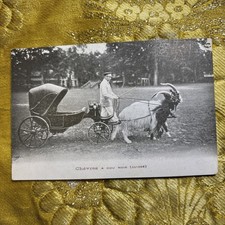 cpa suisse attelage voiture a