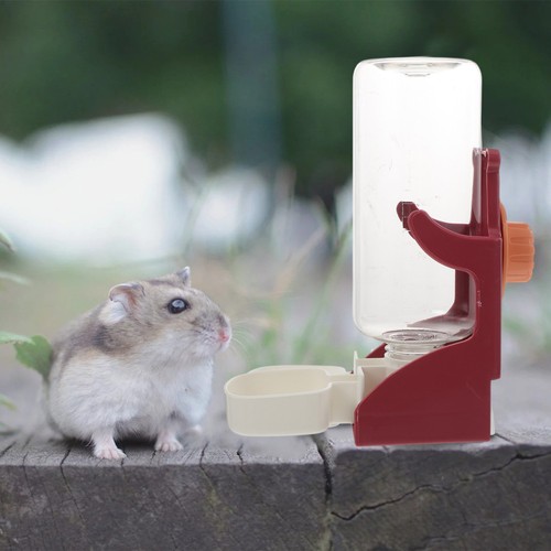 Distributeur eau pour cage - d'eau,