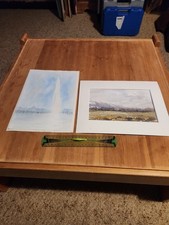 Lot De 2 Jolies Aquarelles