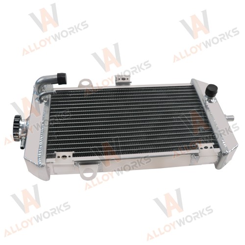Radiateur pour 2006 - 2006-2014, 2008