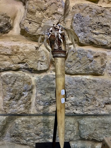 Kasoar asmat nouvelle - kasoar,