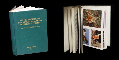 Agronomie mycologie les - mycologie],