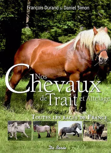 Chevaux trait - chevaux, de