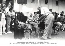 14 - LE MOLAY LITTRY -