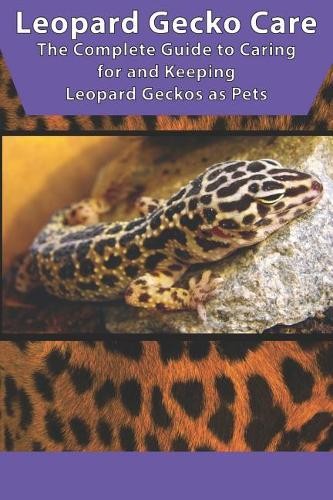 Tabitha jones leopard - jones, gecko