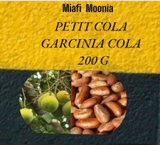 NOIX DE PETIT COLA / KOLA /