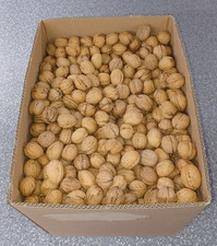 Noix de Grenoble récoltées