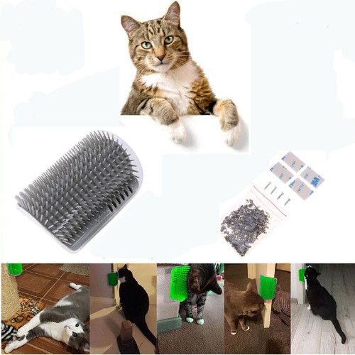 Brosse grattoir massage chat - grattoir,